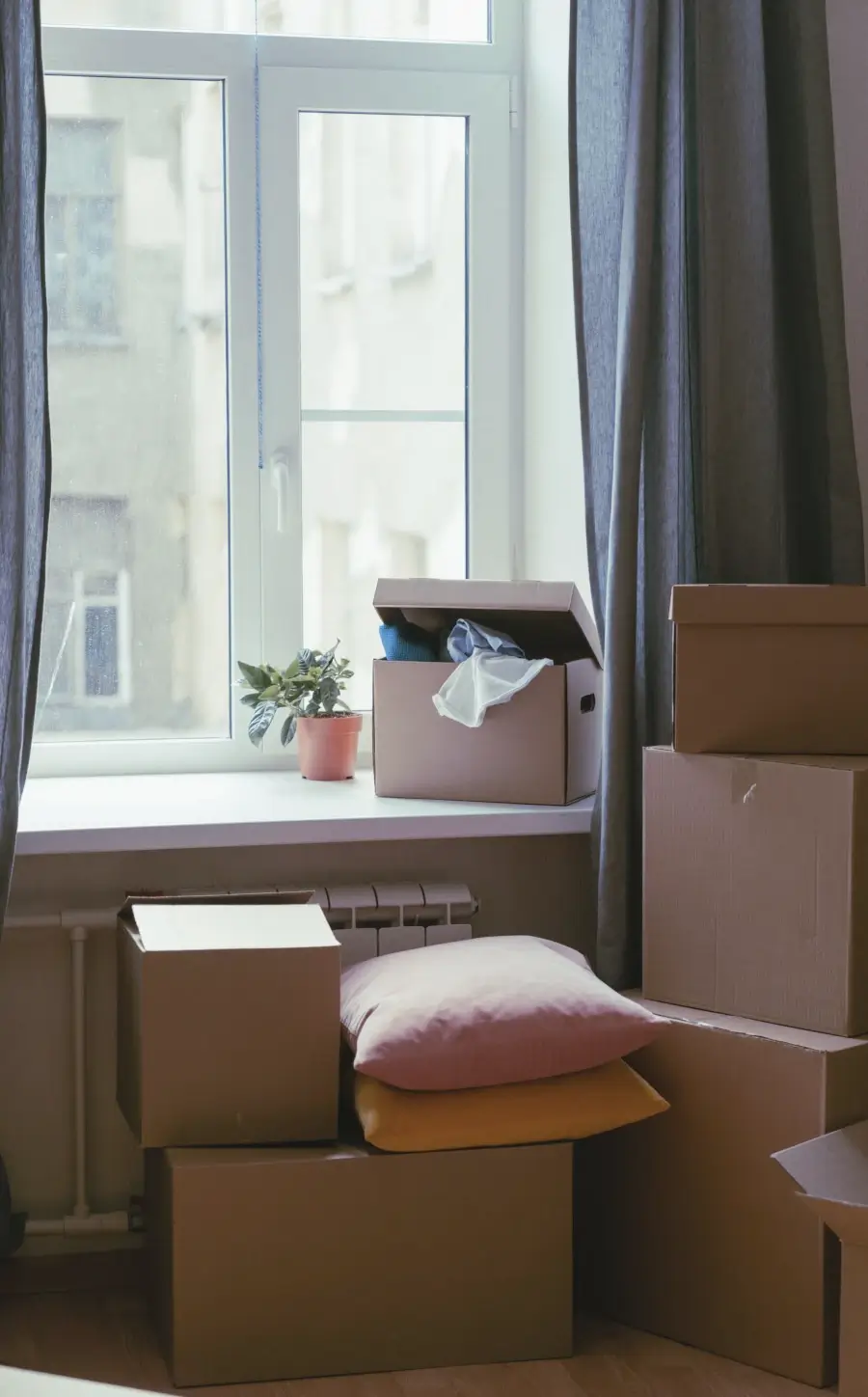 Packed boxes living room